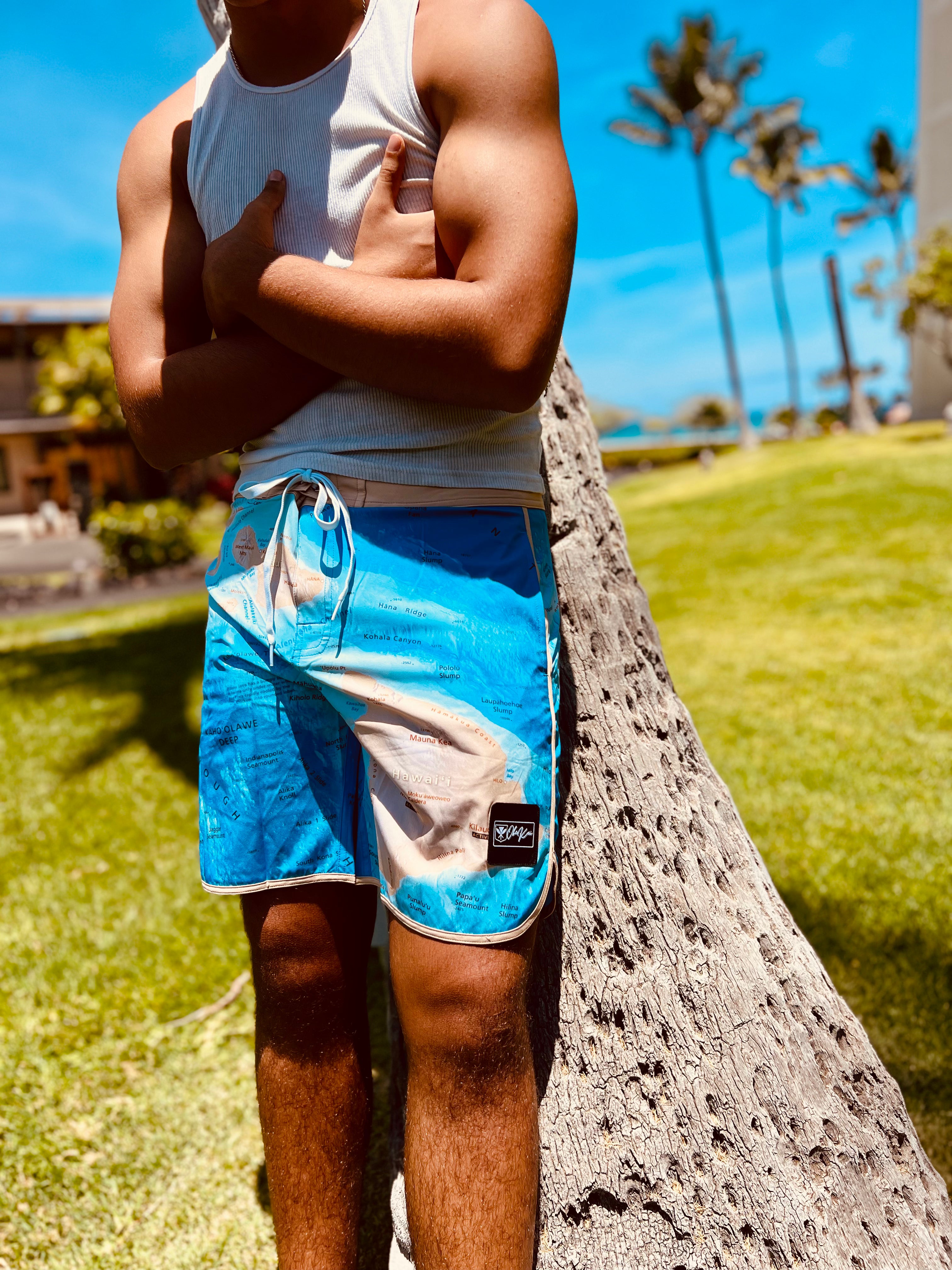 Hawaii Topography Boardshorts