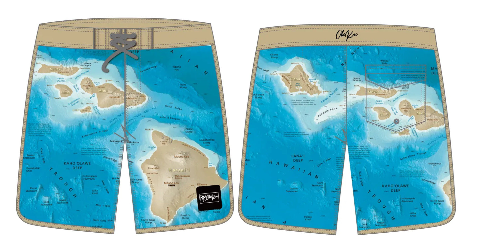 (Pre Order) Hawaii Toography Boardshorts